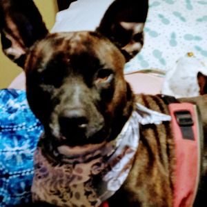 Meet your Posher, Staci